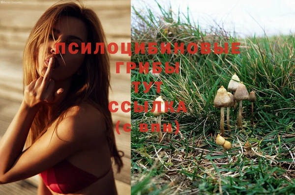 мдпв Нягань