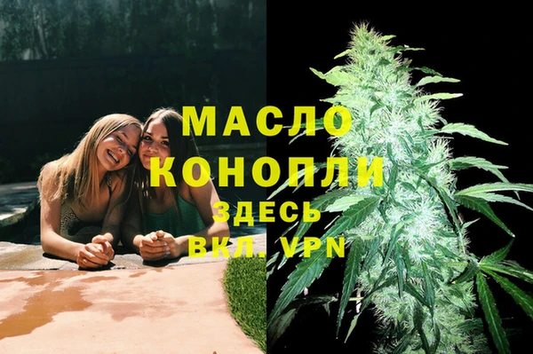 стафф Дубна