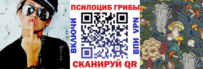 Псилоцибиновые грибы мицелий  купить  сайты  Тайга 